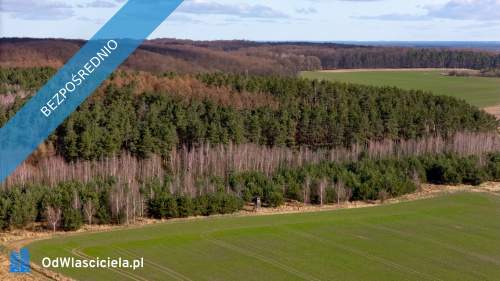 Działka o powierzchni 1188 m2 pod Szczeciniem