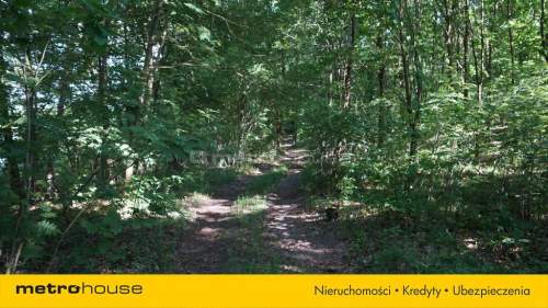 Działka inwestycyjna z linią brzegową jeziora 500m