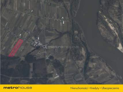 5 ha w jednym kawałku - Potycz, 40 km od Warszawy