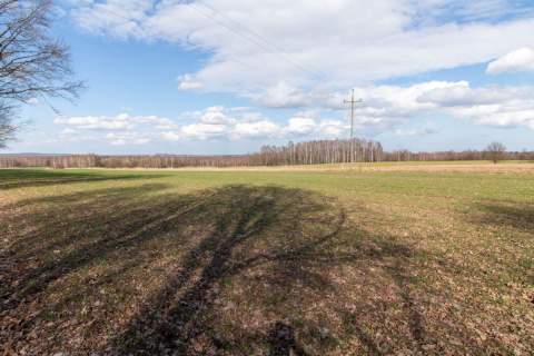Działka rekreacyjno rolna Czarny Las 1,49ha