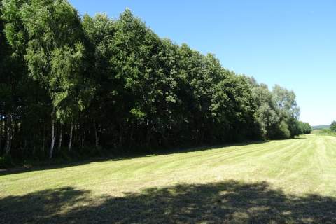 Działka leśna - 26.400m2 - DOBRA LOKALIZACJA 