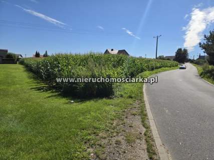 Działka Gorzyce DK78 ul. Rybnicka 68A