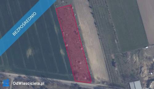 Działka w Dębogórzu