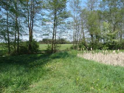 Działka budowlana na sprzedaż, 6300 m2, Adamowice