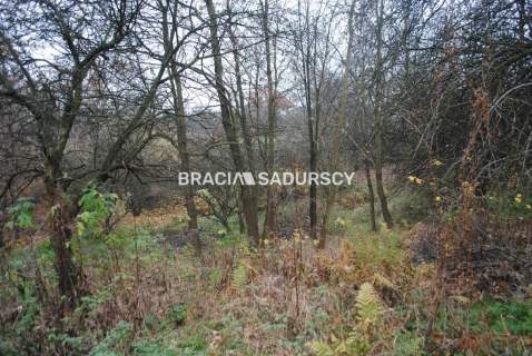 Działka rolna na sprzedaż, 17000 m2, Libertów