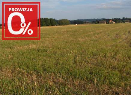 Bardzo ciekawa działka w Faściszowej