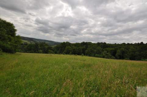 Działka leśna na sprzedaż, 136900 m2, Olszany