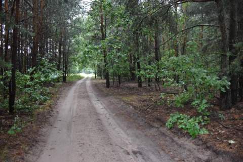 Działka budowlana na sprzedaż, 2800 m2, Kuklówka Zarzeczna