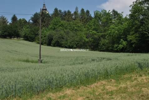 Duża działka inwestycyjna w Brzeziu gm.Kłaj