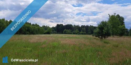 Sprzedam siedlisko 1,6 ha NIE potrzebna zgoda Kowr