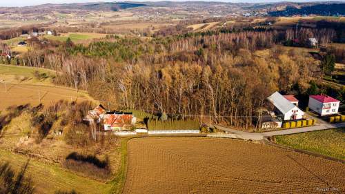 Działka leśna L3 38,45 ar Tuchów