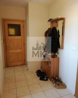 Dąbie, 2 pokoje, kuchnia, loggia, m. postojowe, komórka w cenie
