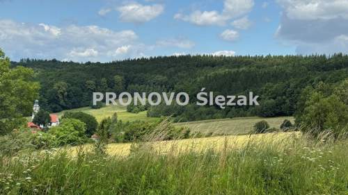 Sprzedam działkę inwestycyjną w Michałkowej