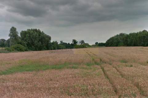 Przy węźle Kazuń Nowy-PRZEMYSŁOWA