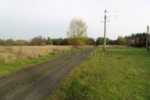 Działka 31,5 ar w otoczeniu zieleni w Kiełczu