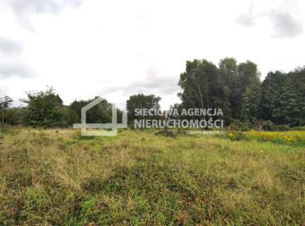 Działka budowlana PSZCZÓŁKI centrum