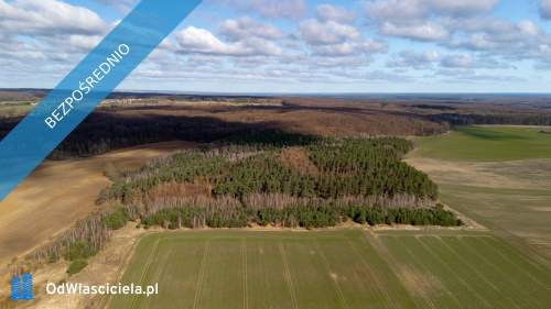 Działka o powierzchni 1188 m2 pod Szczeciniem