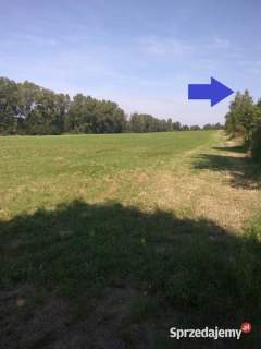 Działki budowlane 1,36 ha na dobrą inwestycję Markowice