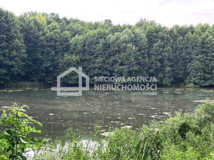Piękna działka 3,3 ha w Łapinie gm. Kolbudy