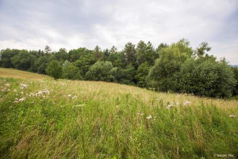 Działka budowlana- Gwoździec- Zakliczyn-Małopolska