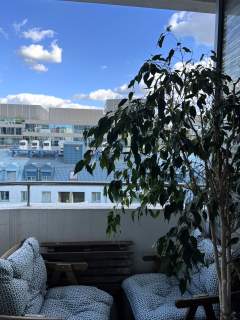 Apartament na Żelaznej 59, 3 pokoje, Absolutny hit