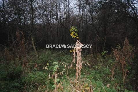 Działka rolna na sprzedaż, 17000 m2, Libertów