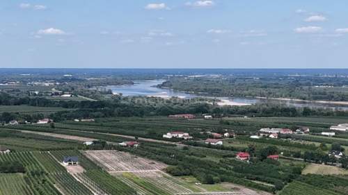 5 ha w jednym kawałku - Potycz, 40 km od Warszawy