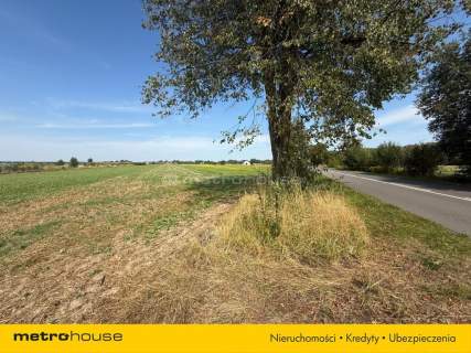 Działka na sprzedaż, 931 m2, Grabanów-Kolonia