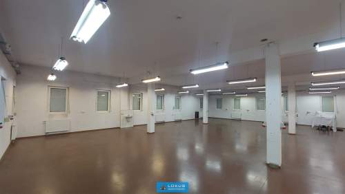 Lokal 242 m2 usługi biuro produkcja