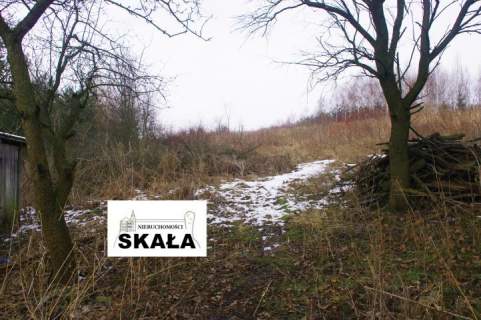 Nowa Wieś, gmina Skała