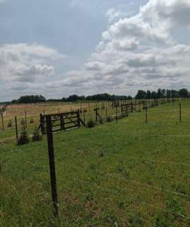 Działka na sprzedaż, 1000 m2, Orzechowo