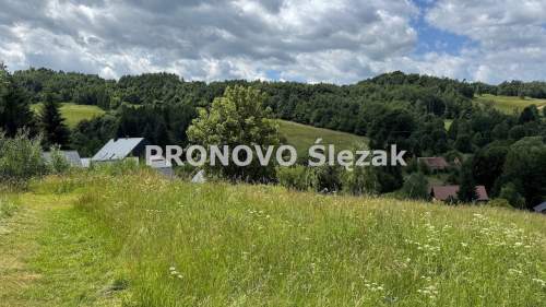Sprzedam działkę inwestycyjną w Michałkowej