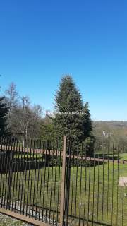 Doskonała lokalizacja, Zakrzówek, dom 280m2