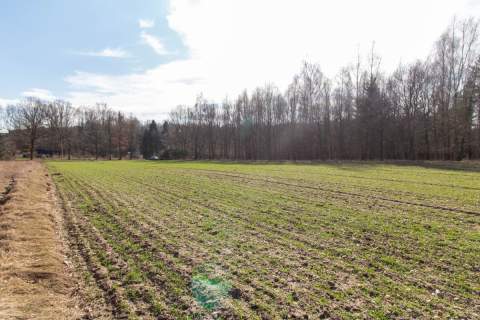 Działka rekreacyjno rolna Czarny Las 1,49ha