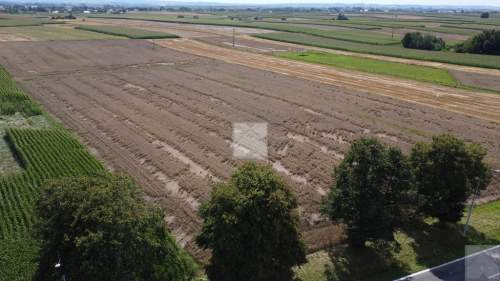 Działka 1,6 ha z WZ budownictwo mieszkaniowe i u