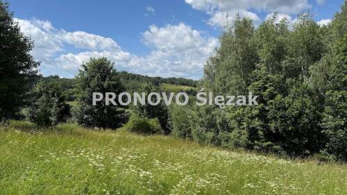 Sprzedam działkę inwestycyjną w Michałkowej