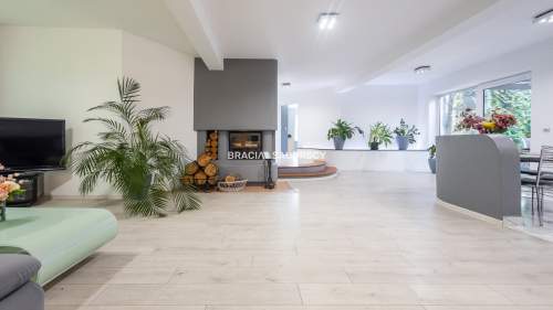 Komfortowa Villa z basenem Kraków Południe