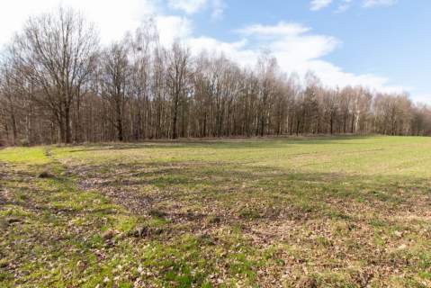 Działka rekreacyjno rolna Czarny Las 1,49ha