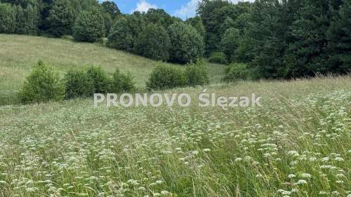 Sprzedam działkę w Michałkowej 1776