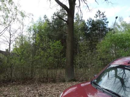 Działka budowlana na sprzedaż, 19206 m2, Miedniewice