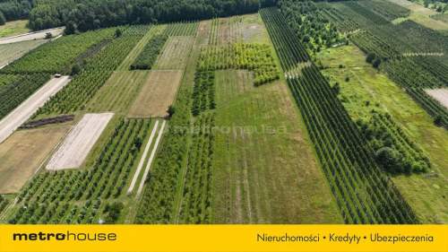 5 ha w jednym kawałku - Potycz, 40 km od Warszawy