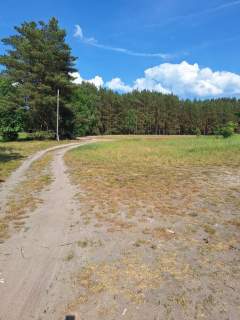Działka Tanowo,plan-usługi,3233m2,łączna-1.74 ha.