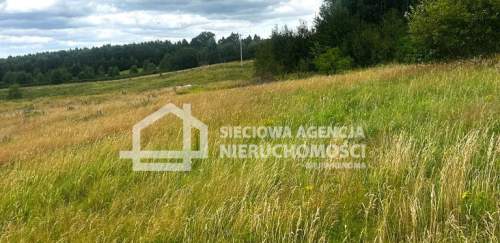 Atrakcyjna działka z WZ, 2913 m2, Trzepowo