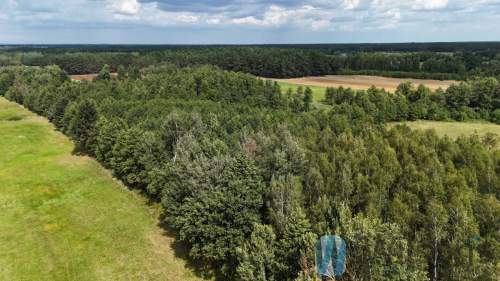 Zamieszkaj lub Inwestuj Działka 7100 m 