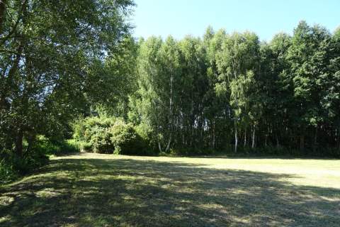 Działka leśna - 26.400m2 - DOBRA LOKALIZACJA 