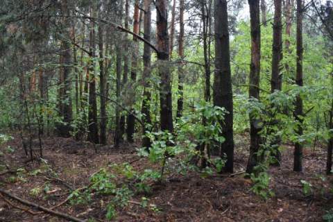Działka budowlana na sprzedaż, 2800 m2, Kuklówka Zarzeczna