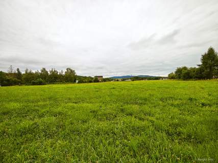 Działka Budowlana 2,5 ha w miejscowości Stróże