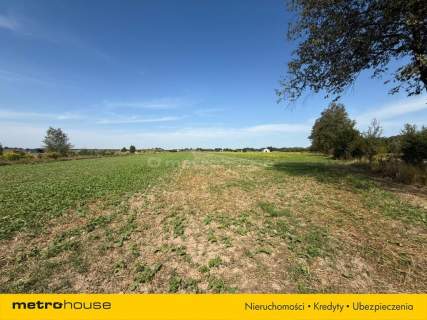 Działka na sprzedaż, 931 m2, Grabanów-Kolonia