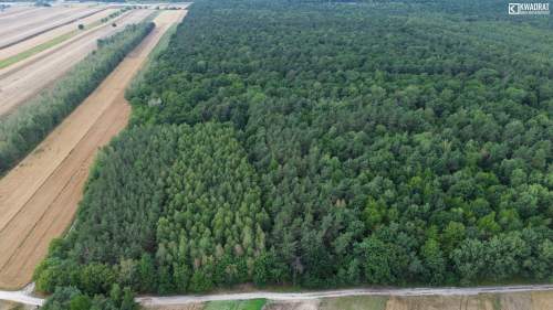 Działka Leśna Niemce - pow. 1630m2