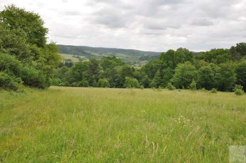 Działka leśna na sprzedaż, 136900 m2, Olszany